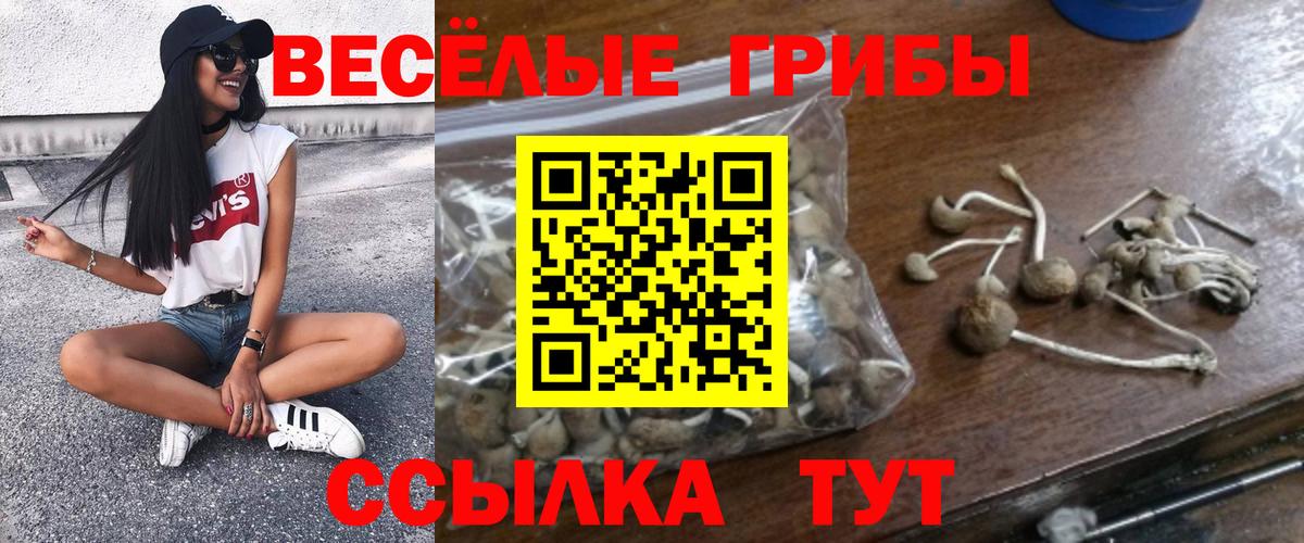 Псилоцибиновые грибы MAGIC MUSHROOMS  Вход с VPN  Новокузнецк  Галлюциногенные грибы прущие грибы 
